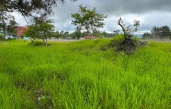Bugaba, Chiriquí Province