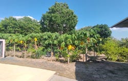 LLANO BONITO, RIO HATO, Antón, Antón
