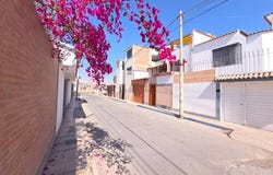 ASOC. LOS VIRREYES Mz A sub lote 02-B, Tacna, Tacna, Tacna, Tacna, Tacna