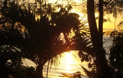 PG35+96, Alcoy, Central Visayas