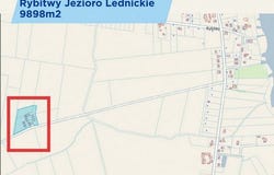 rybitwy, Mazowieckie