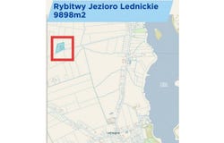 rybitwy, Mazowieckie