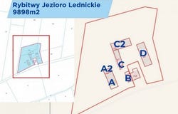 rybitwy, Mazowieckie