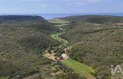 Budens, Algarve 8650