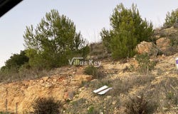 Budens, Algarve 8650