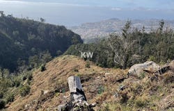 Monte, Madeira 9050