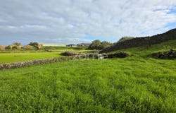 Ribeira Grande, Azores