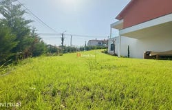 Raiva, Aveiro District