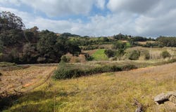 Carvalhal Benfeito, Leiria District 2500