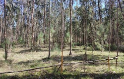 Estolas, Maceira, Leiria District 2405-022