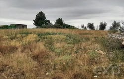 Bouça, Bragança District 5385-031
