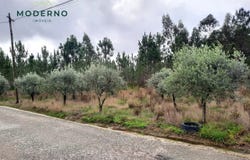Vermoil, Leiria District