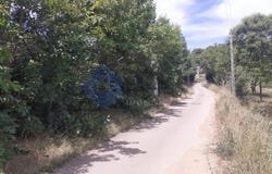 Tuizelo, Bragança 5320