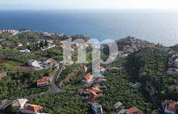 Ponta Do Sol, Madeira 9350