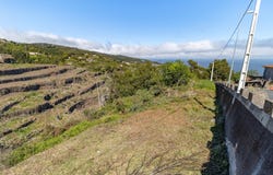 Gaula, Madeira 9100
