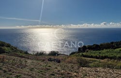 Canhas, Madeira