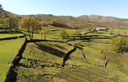 Espindo, Ruivães e Campos, Braga 4850-333