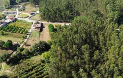 Coz, Leiria 2460