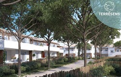 Comporta, Setúbal 7580