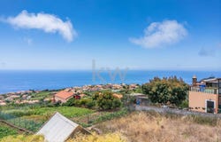 Canhas, Madeira 9360