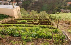ESTREITO CÂMARA DE LOBOS, Madeira