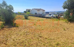 Brogueira, Santarém District