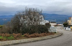Vila Real, Vila Real District