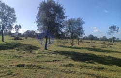 Pegões, Setúbal 2985