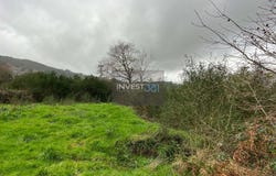 Covas, Viana do Castelo District