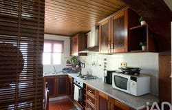 Bandeiras, Autonomous Region of the Azores 9950
