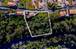 Santo Antônio, Madeira 9020