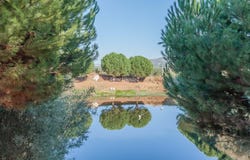Tortosendo, Castelo Branco 6200