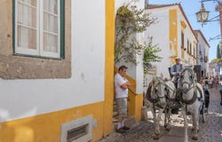 Amoreira, Leiria 2510
