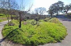 Sertã, Castelo Branco District