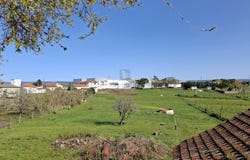 Cela, Leiria 2460
