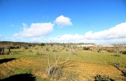 Silves, Algarve