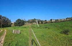 Salir De Matos, Leiria 2500