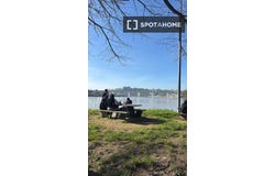 porto, Porto District 4420