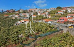 FUNCHAL, Madeira