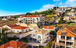 Canhas, Madeira 9360