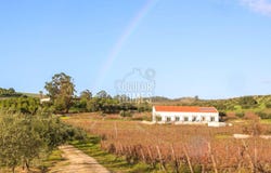 Vila De Frades, Beja 7960