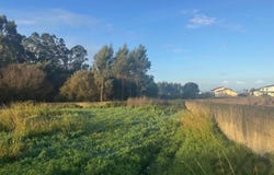 Espinho, Aveiro Municipality 4500