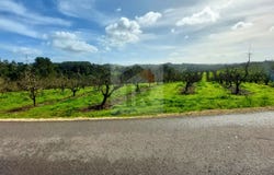 Caldas da Rainha, Leiria District