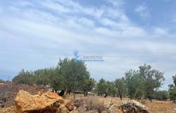 Guia, Algarve 8200