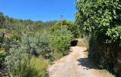 Sertã, Castelo Branco District