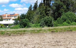São Bernardo, Aveiro District