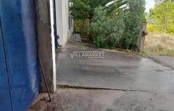 Amiais De Baixo, Santarém 2025