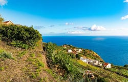 Canhas, Madeira 9360