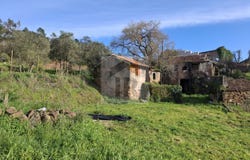 Alcobaça, Leiria District