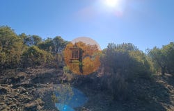 Vaqueiros, Algarve
